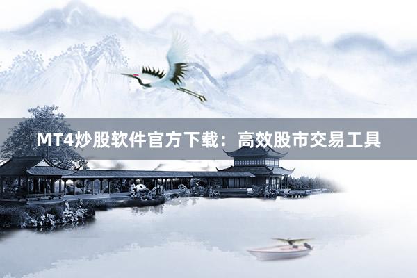 MT4炒股软件官方下载：高效股市交易工具
