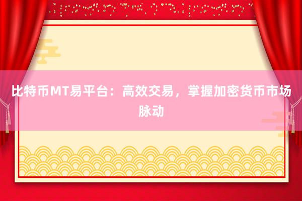 比特币MT易平台：高效交易，掌握加密货币市场脉动