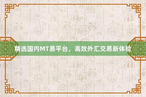 精选国内MT易平台，高效外汇交易新体验