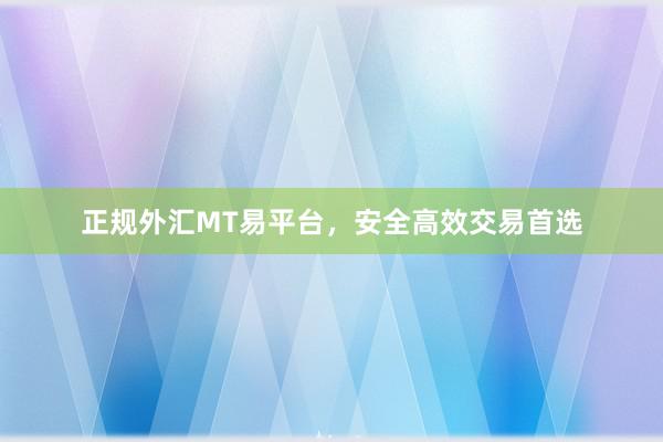 正规外汇MT易平台，安全高效交易首选