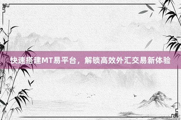 快速搭建MT易平台，解锁高效外汇交易新体验